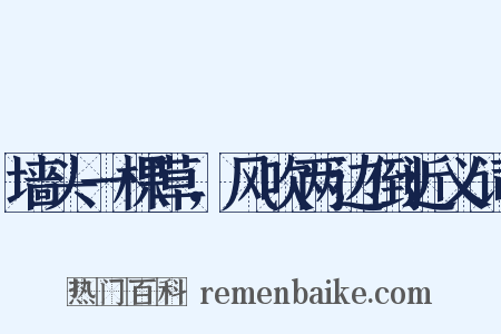 墙头一棵草，风吹两边倒近义词是什么意思的图片